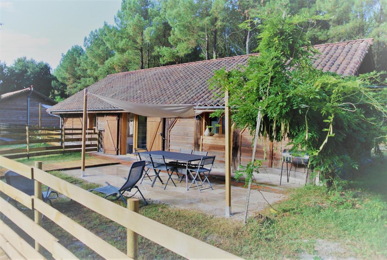 Les Gites Du Grand Chene Saint-Paul-en-Born Exteriér fotografie